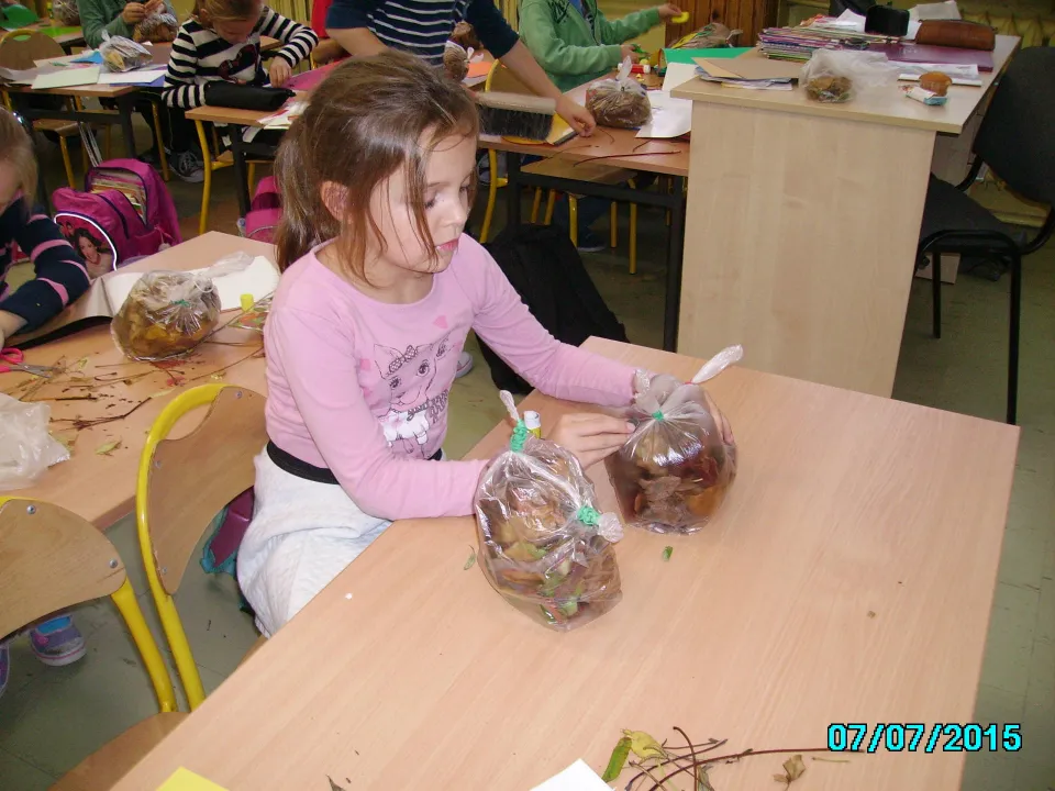Jesienne sowy w IIc — zdjęcie 4