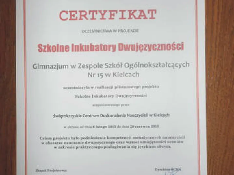 Szkolne Inkubatory Dwujęzyczności — zdjęcie 16