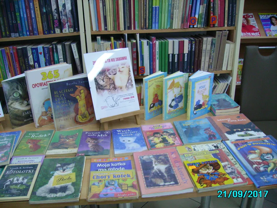 Biblioteka — zdjęcie 2