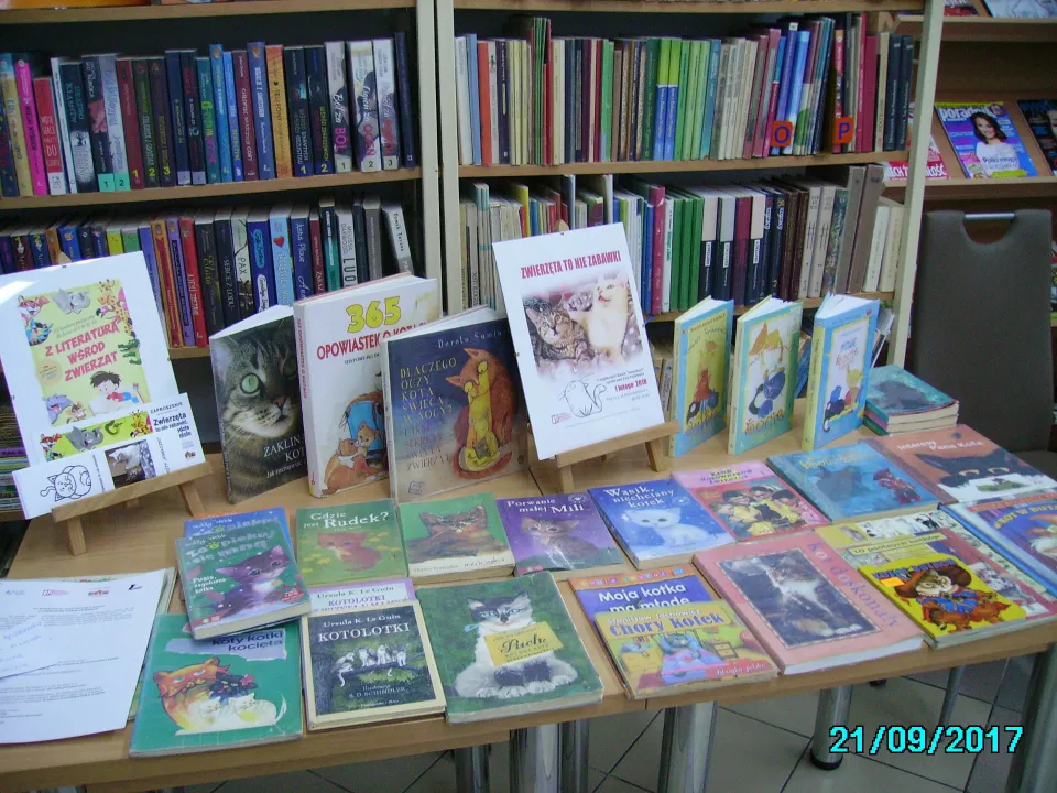Biblioteka — zdjęcie 3