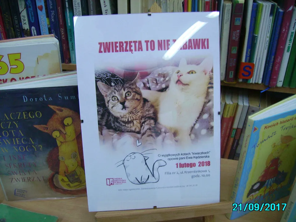 Biblioteka — zdjęcie 5