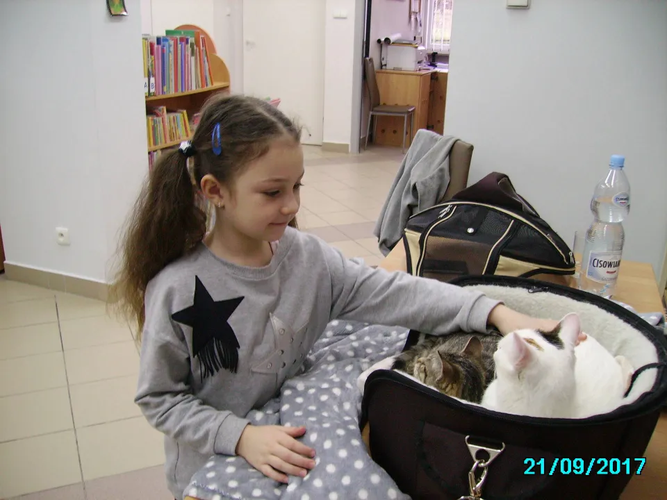 Biblioteka — zdjęcie 15