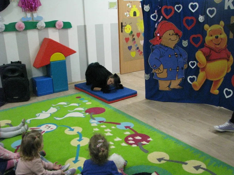 Obchody Dnia Kota w naszym przedszkolu — zdjęcie 6