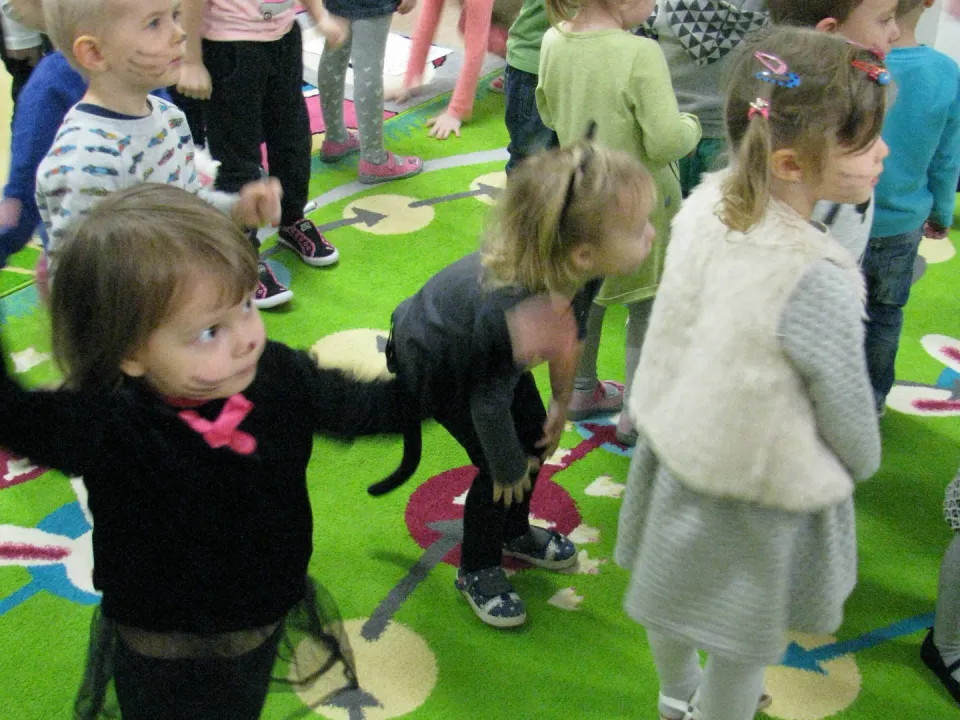 Obchody Dnia Kota w naszym przedszkolu — zdjęcie 57