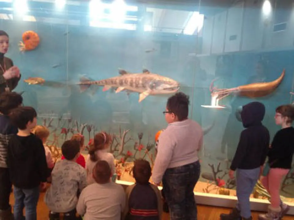 Wycieczka do Geoparku grupy Delfinów — zdjęcie 20