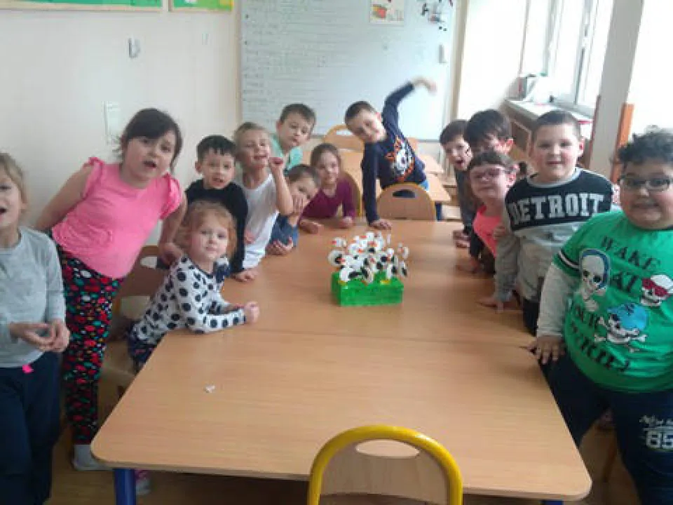 Wiosna u Delfinów — zdjęcie 11
