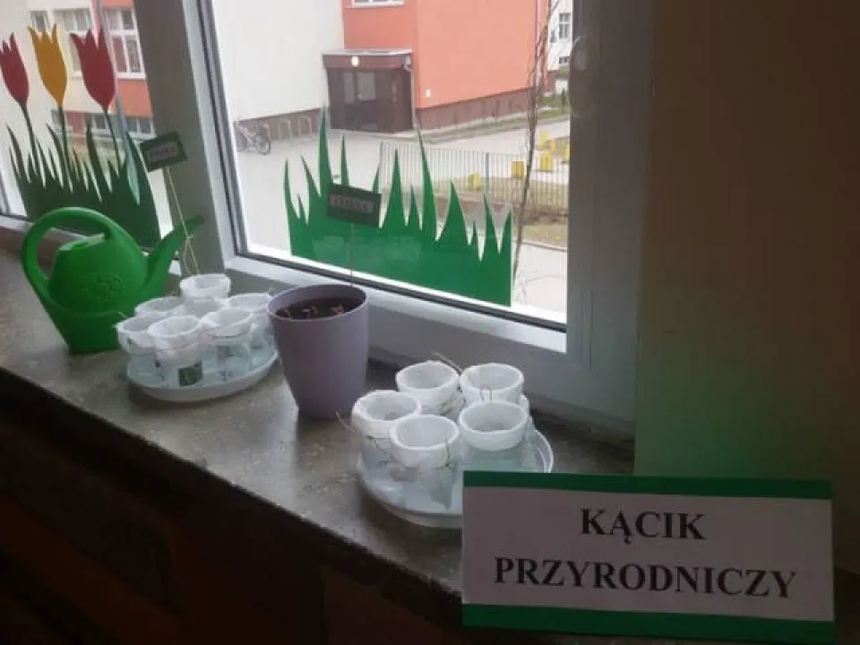 Wiosenna hodowla u Biedronek — zdjęcie 1