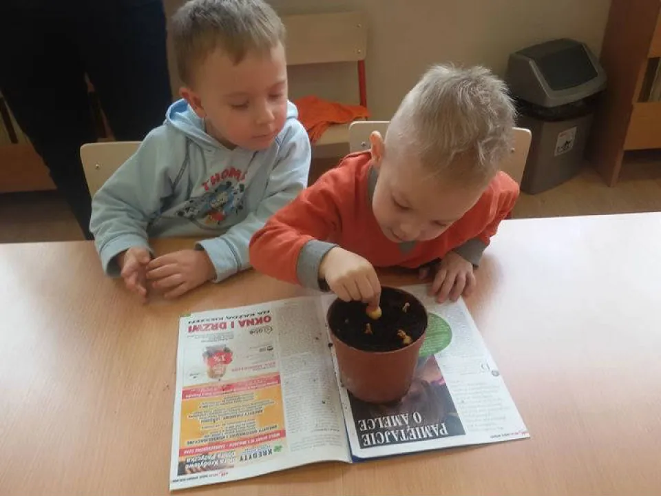 Wiosenna hodowla u Biedronek — zdjęcie 6