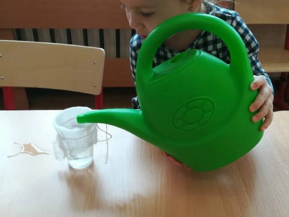 Wiosenna hodowla u Biedronek — zdjęcie 9