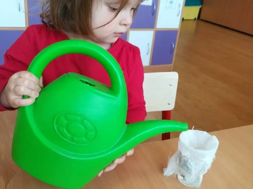 Wiosenna hodowla u Biedronek — zdjęcie 10