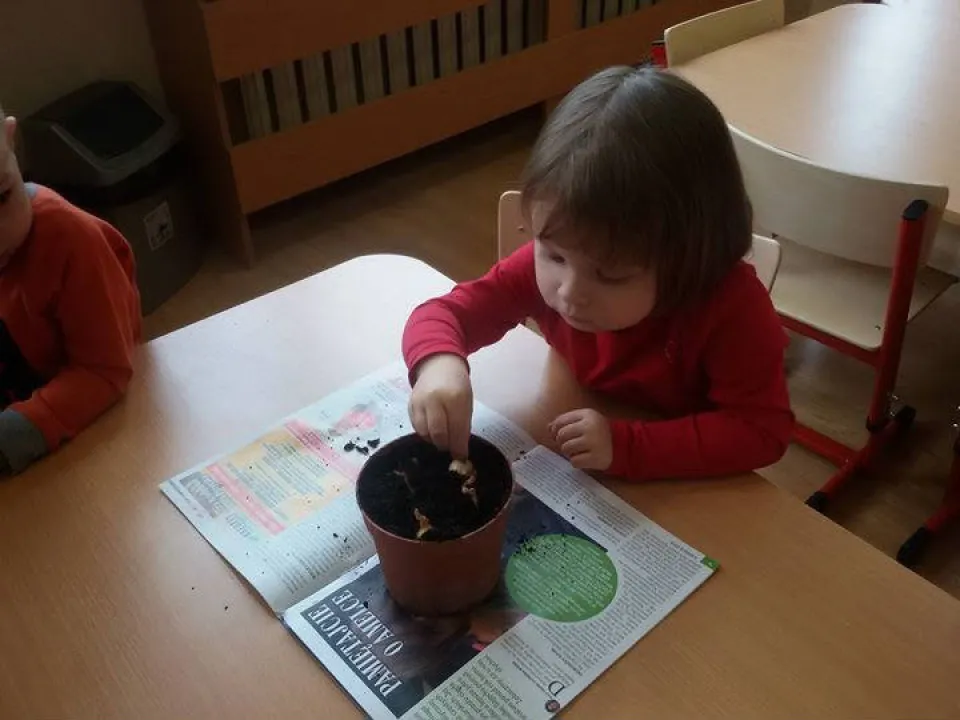 Wiosenna hodowla u Biedronek — zdjęcie 12