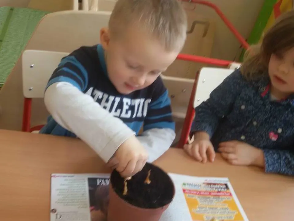 Wiosenna hodowla u Biedronek — zdjęcie 14