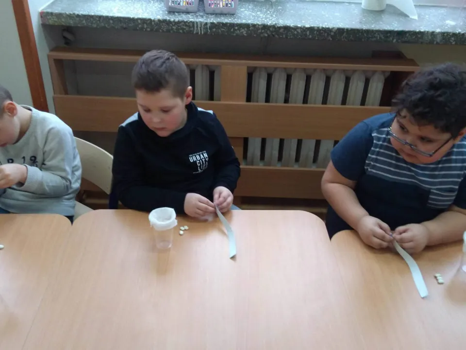 Wiosna u Delfinów — zdjęcie 41