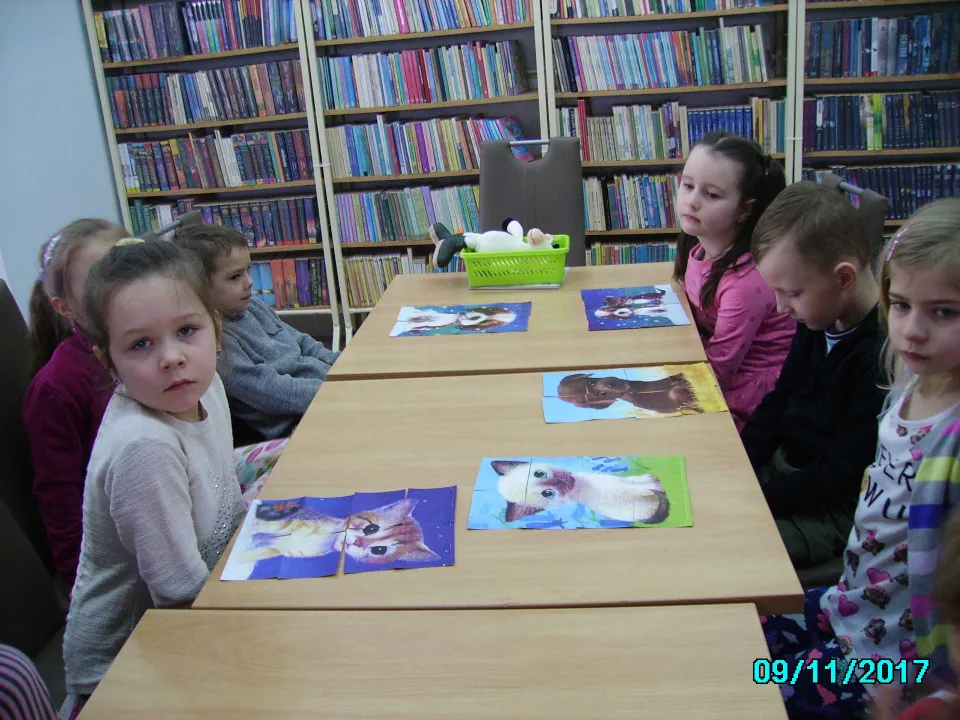 Biblioteka — zdjęcie 23