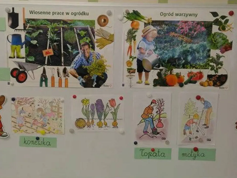 Wiosna na parapecie w grupie Pszczółek — zdjęcie 14