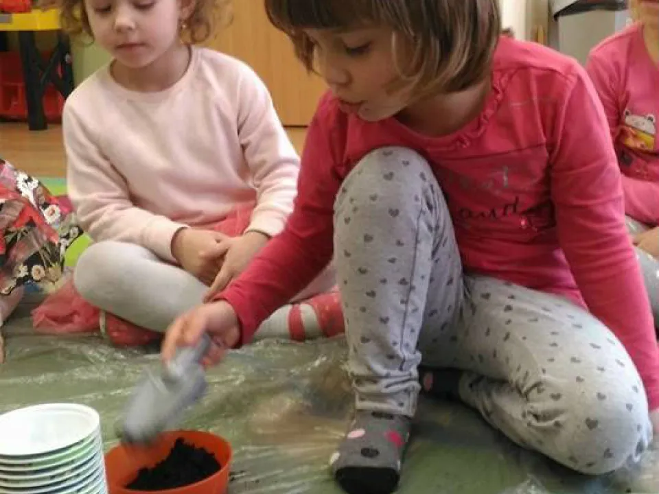 Wiosna na parapecie w grupie Pszczółek — zdjęcie 18