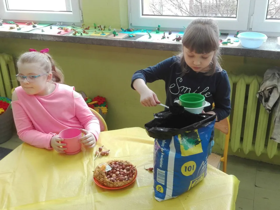 Zielony kącik — zdjęcie 1
