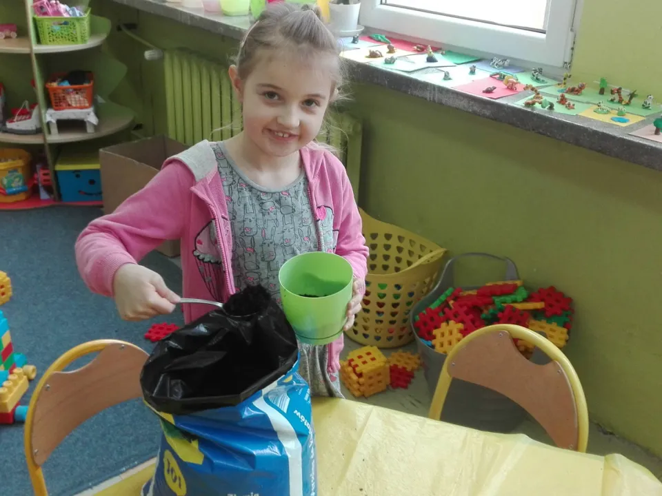Zielony kącik — zdjęcie 2