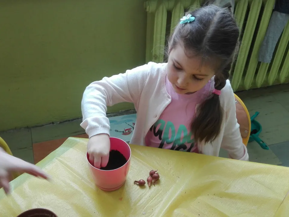 Zielony kącik — zdjęcie 10