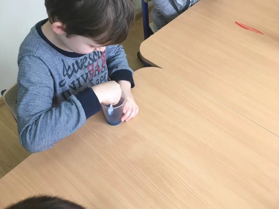 Delfiny eksperymentują — zdjęcie 1