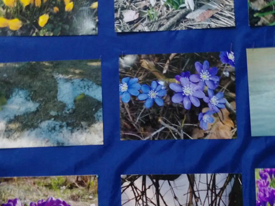 Konkurs fotograficzny — zdjęcie 1
