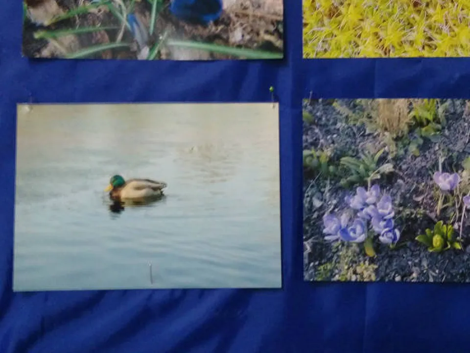Konkurs fotograficzny — zdjęcie 2