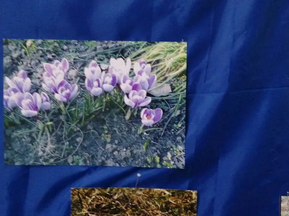 Konkurs fotograficzny — zdjęcie 4