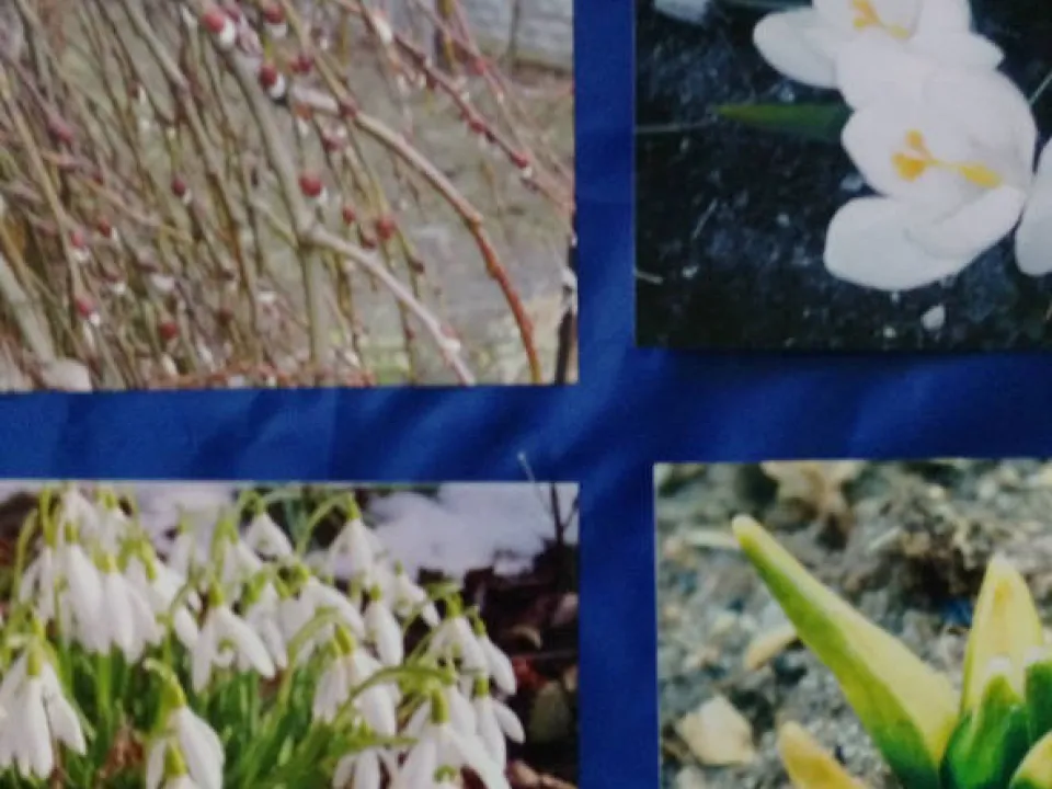 Konkurs fotograficzny — zdjęcie 6
