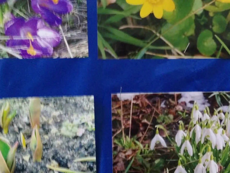 Konkurs fotograficzny — zdjęcie 11