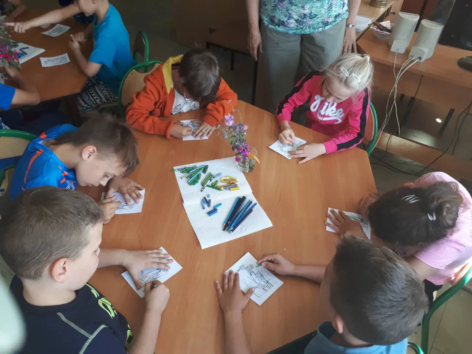 Dzień Polskiej Niezapominajki — zdjęcie 3