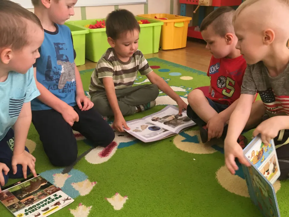Pszczółki zapoznają się z książką — zdjęcie 10