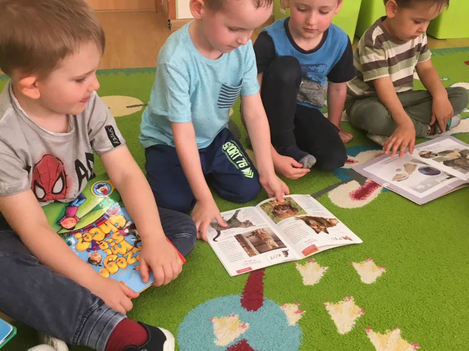 Pszczółki zapoznają się z książką — zdjęcie 17