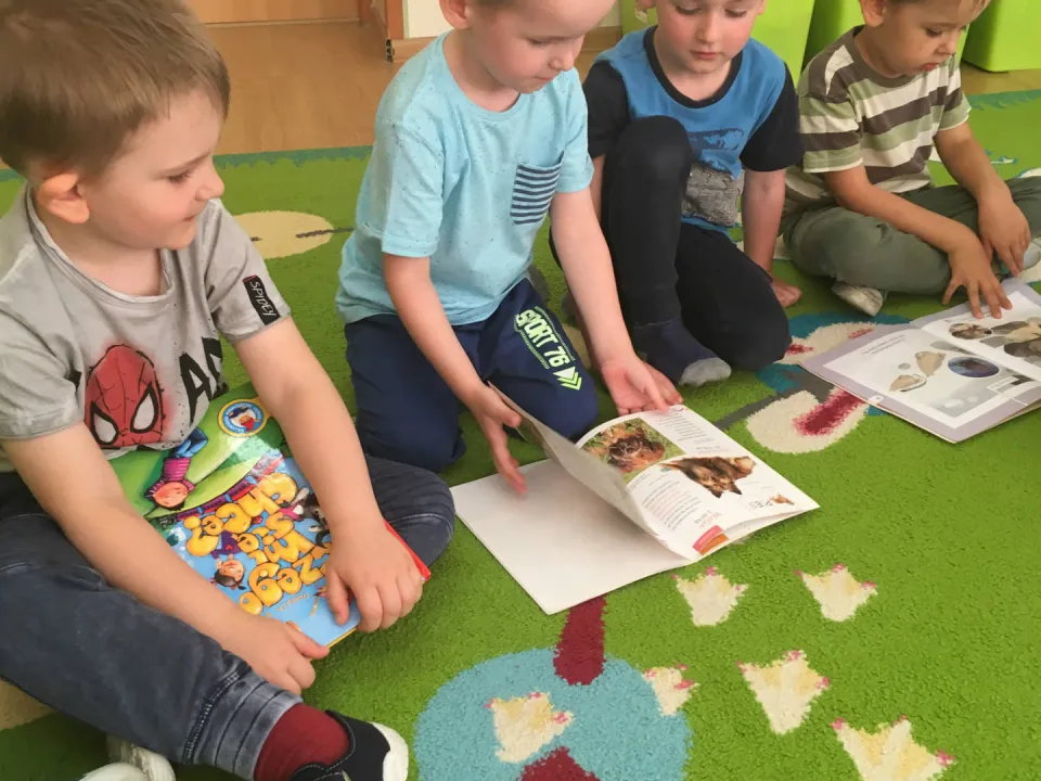 Pszczółki zapoznają się z książką — zdjęcie 18