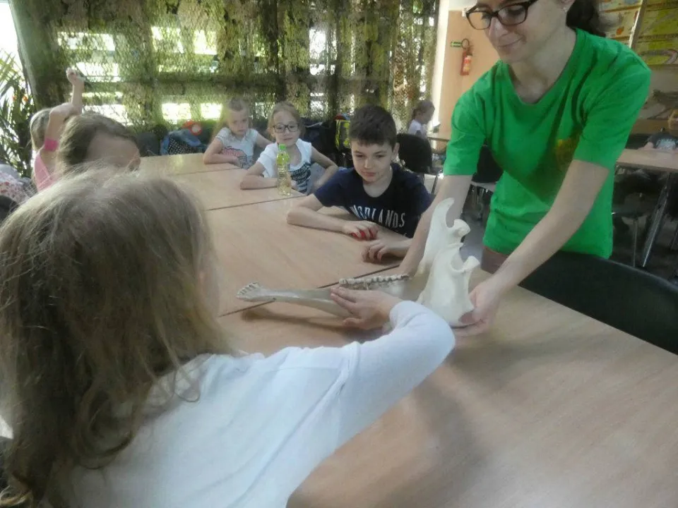 Chorzów ZOO — zdjęcie 4