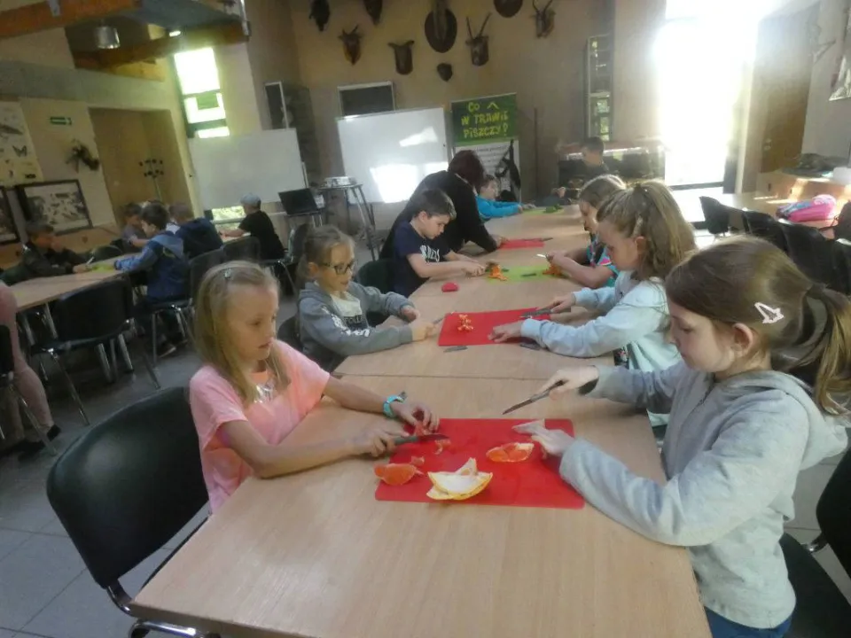 Chorzów ZOO — zdjęcie 10