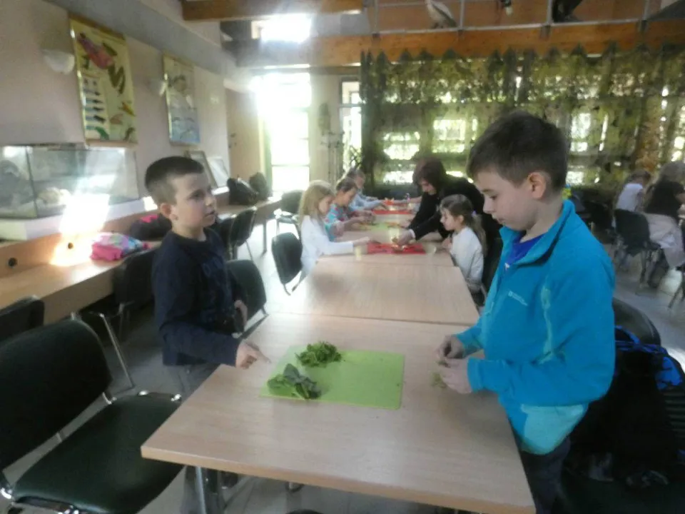Chorzów ZOO — zdjęcie 11