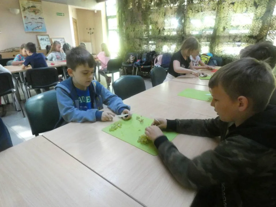 Chorzów ZOO — zdjęcie 13