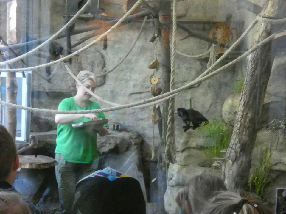 Chorzów ZOO — zdjęcie 18