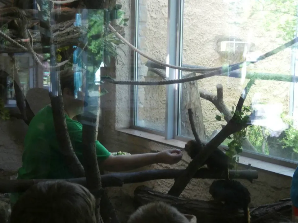 Chorzów ZOO — zdjęcie 19