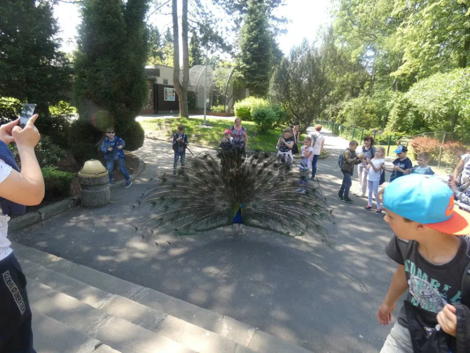 Chorzów ZOO — zdjęcie 21
