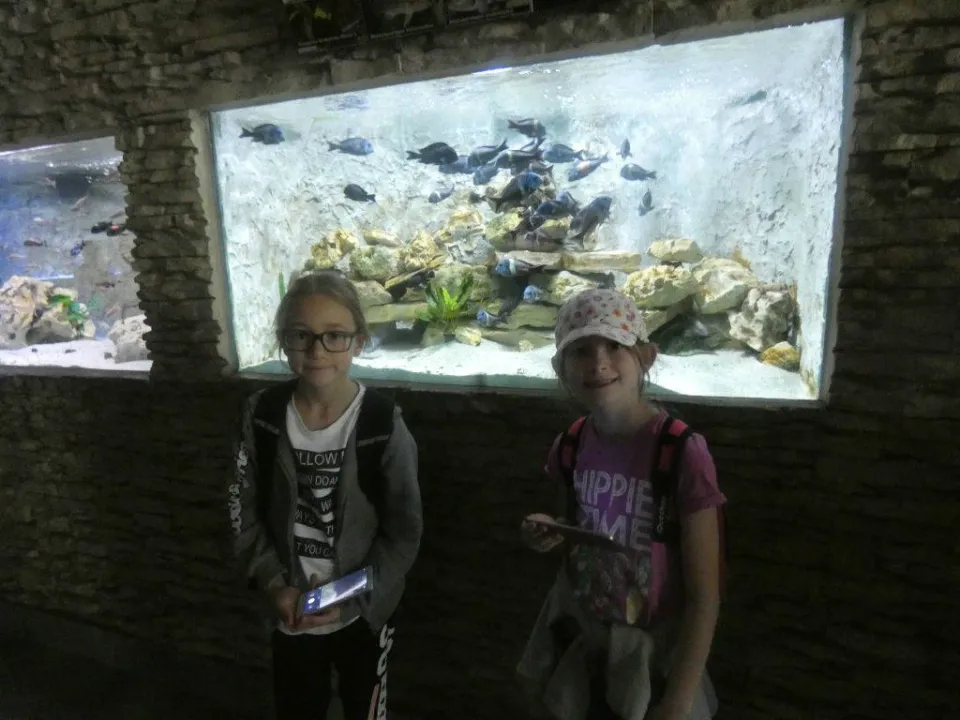 Chorzów ZOO — zdjęcie 22