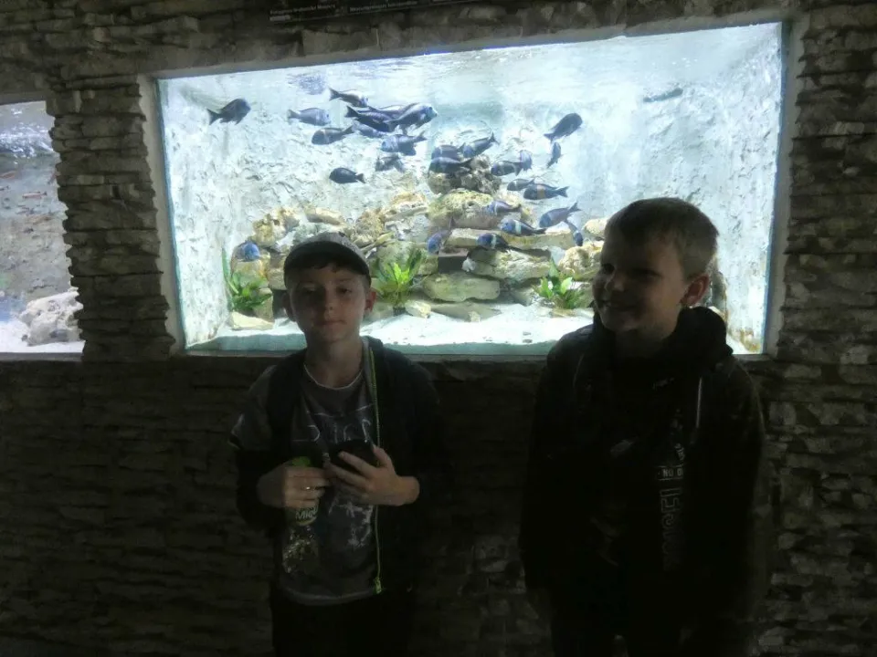 Chorzów ZOO — zdjęcie 23