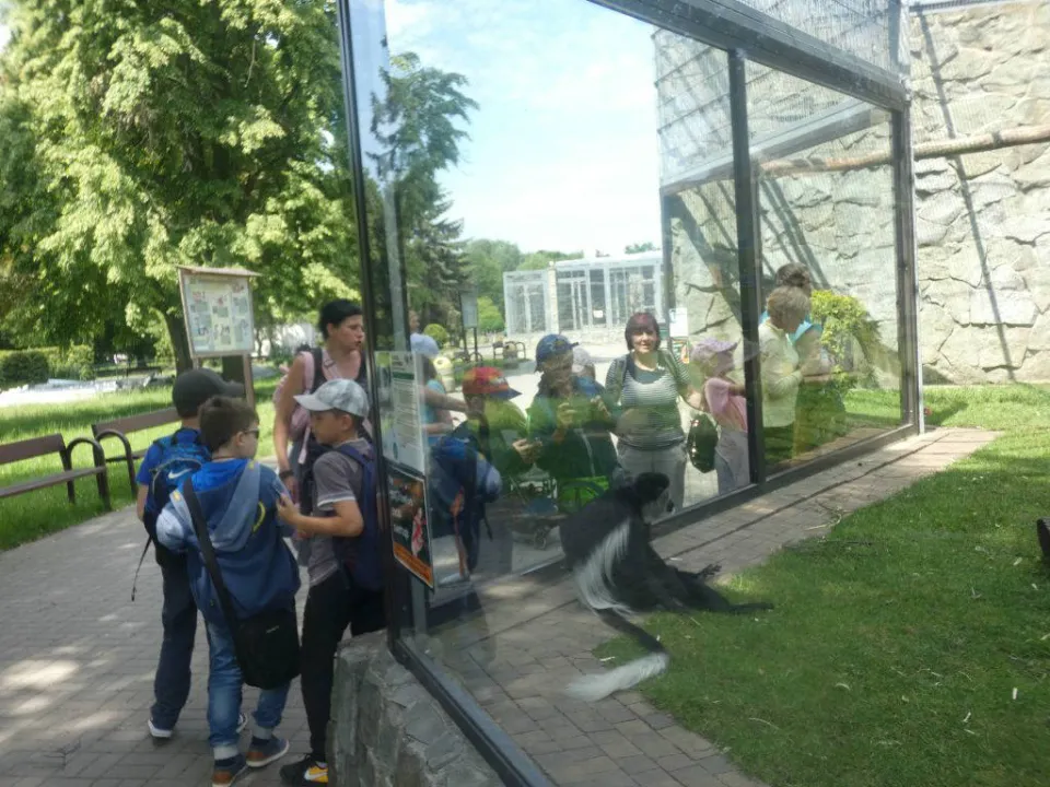 Chorzów ZOO — zdjęcie 24