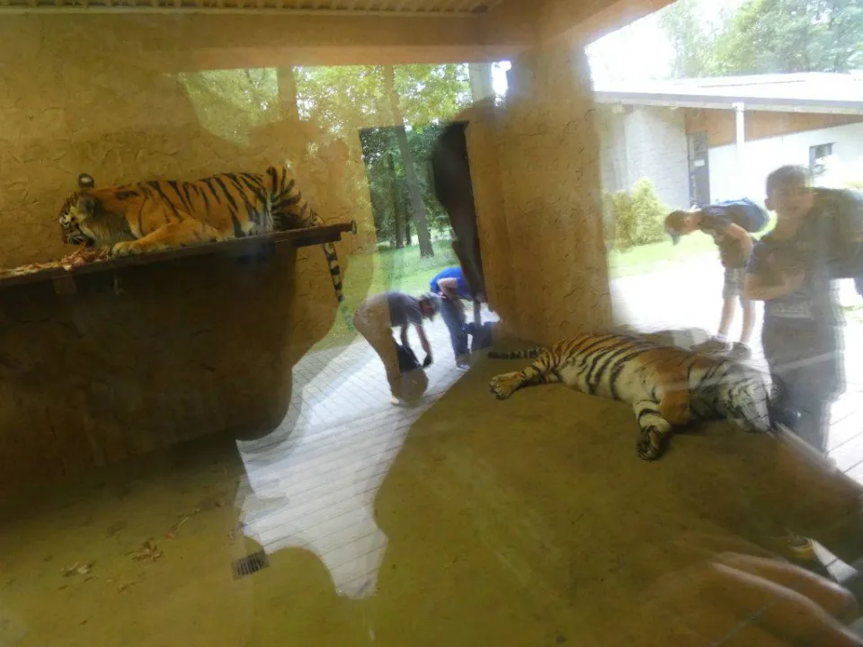 Chorzów ZOO — zdjęcie 41