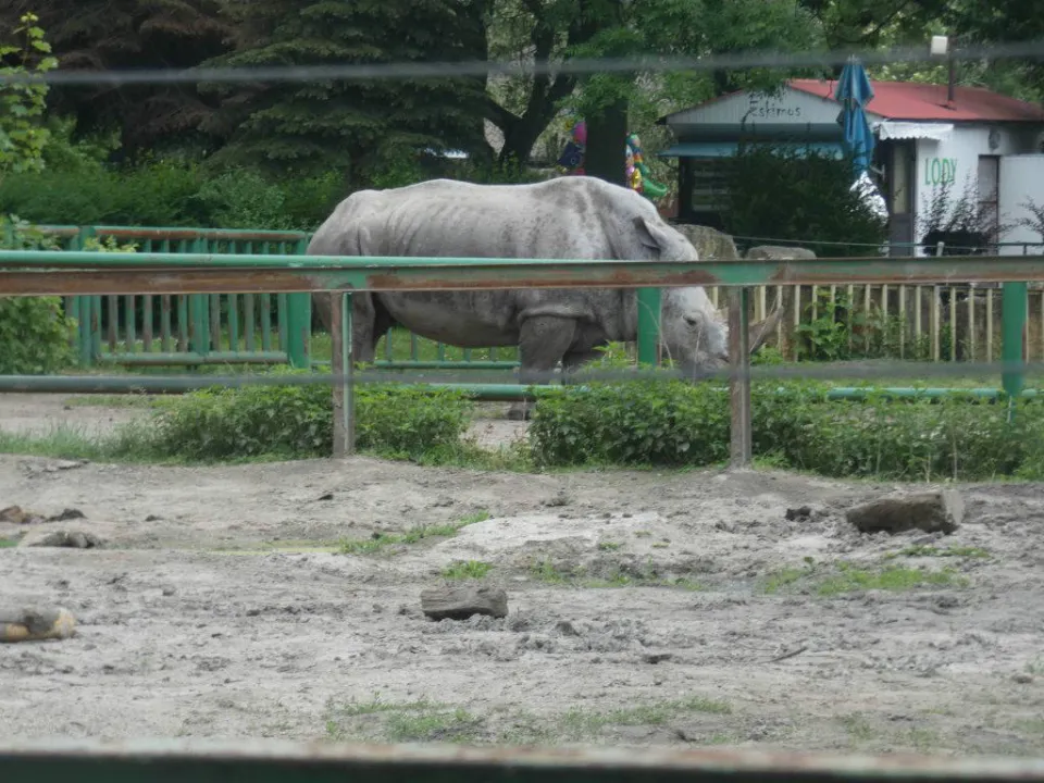 Chorzów ZOO — zdjęcie 43