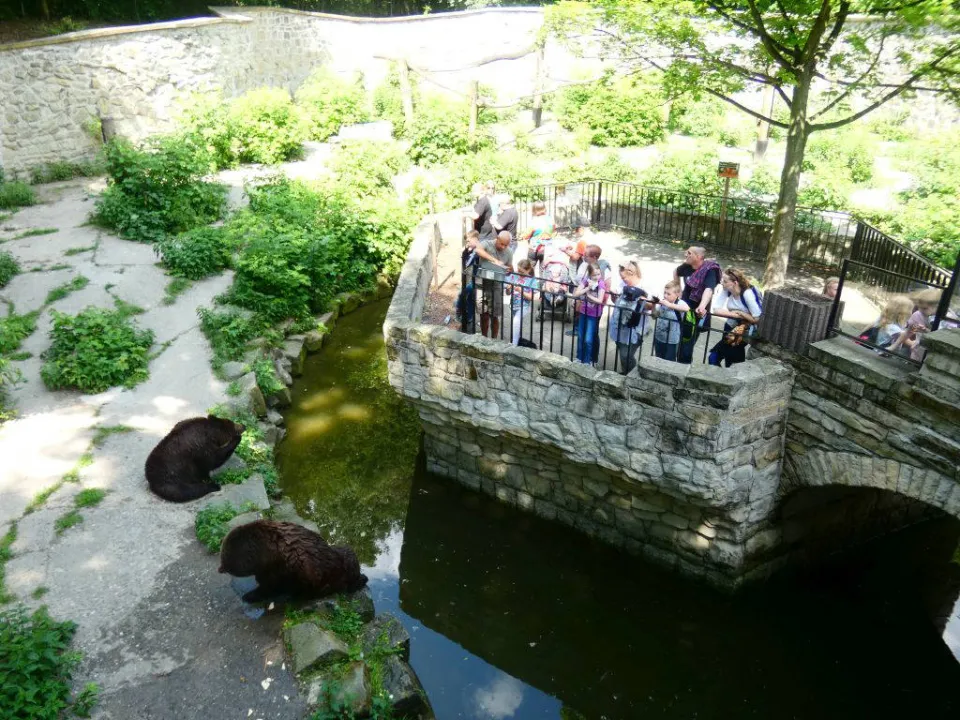 Chorzów ZOO — zdjęcie 47