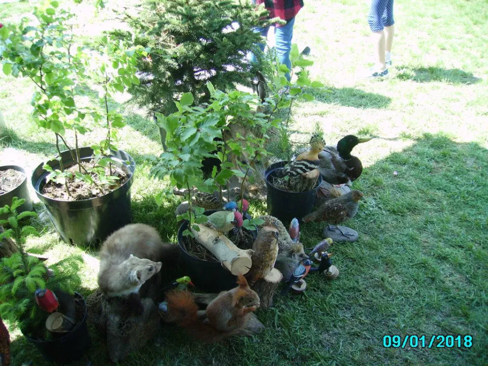piknik — zdjęcie 33
