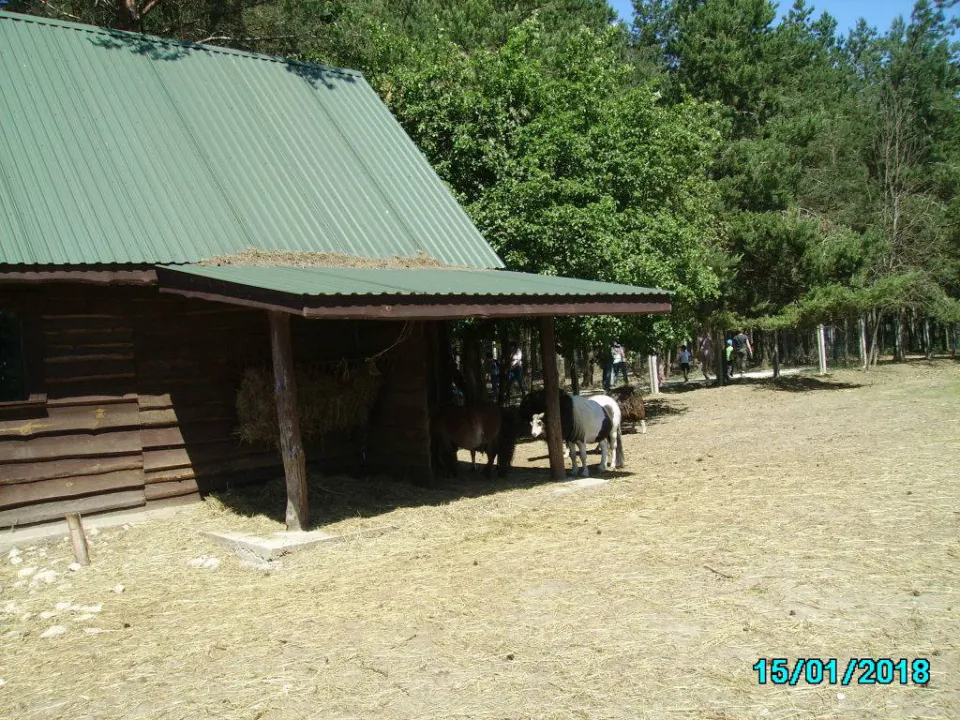 Lisów — zdjęcie 32