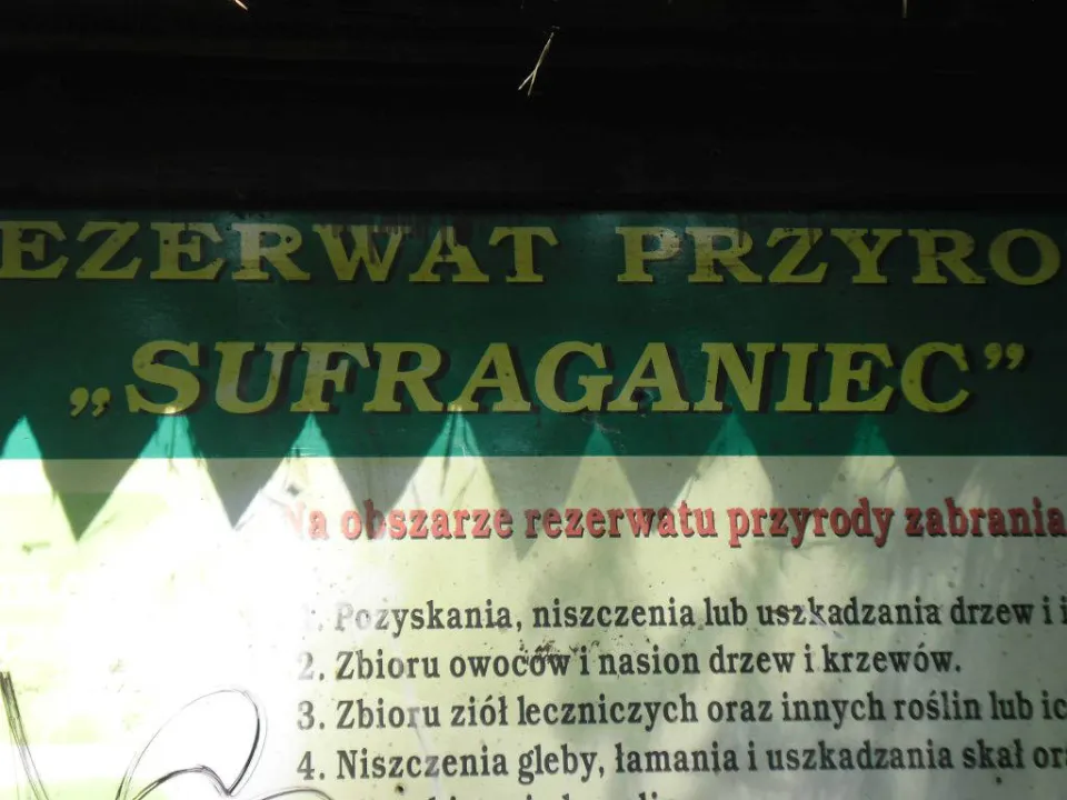 Park Krajobrazowy — zdjęcie 39