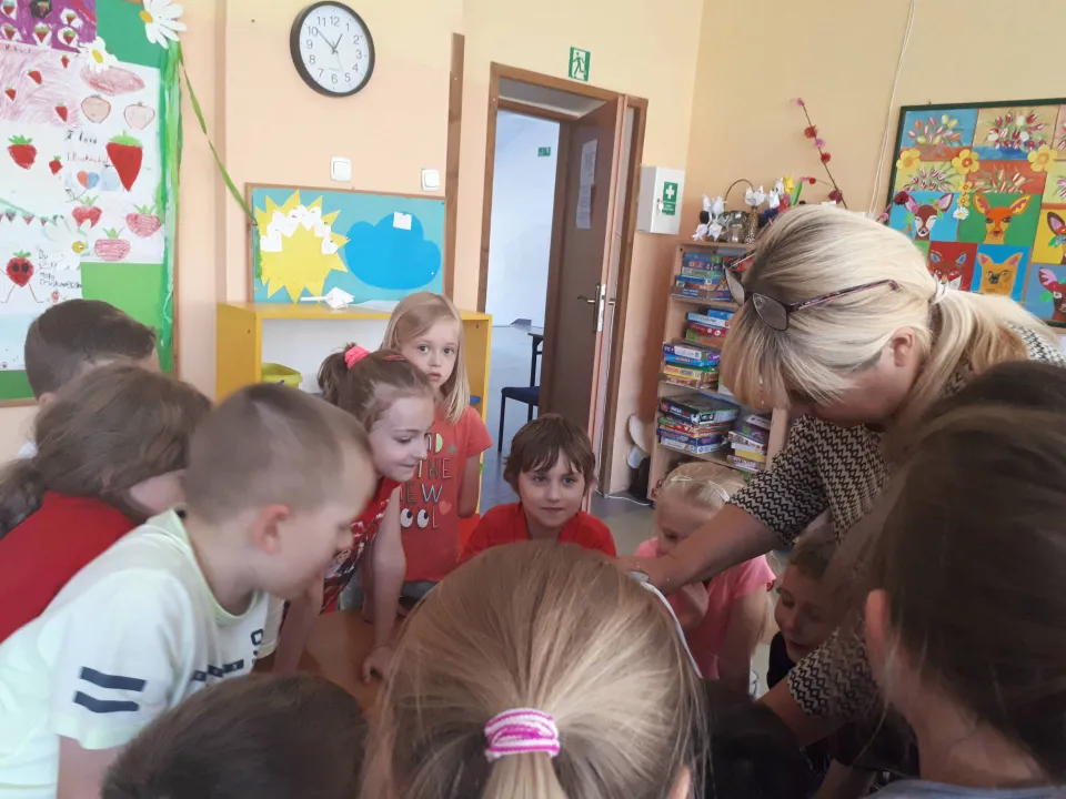 Święto truskawki — zdjęcie 6